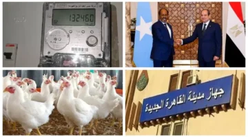 رفض مصري قاطع.. السيسي يؤكد حماية سيادة الصومال وتحركات جديدة بقطاع الزراعة